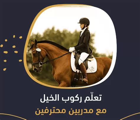 nur horse club|nur